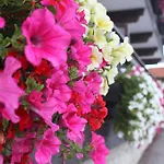 Ferienland Stubai 公寓式酒店 富尔普梅斯