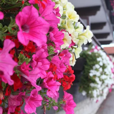 Ferienland Stubai Hotel apartamentowy Fulpmes